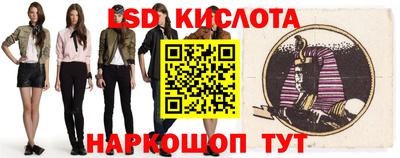 стафф Кингисепп