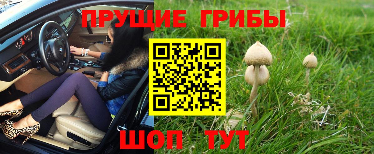 Галлюциногенные грибы MAGIC MUSHROOMS Клин