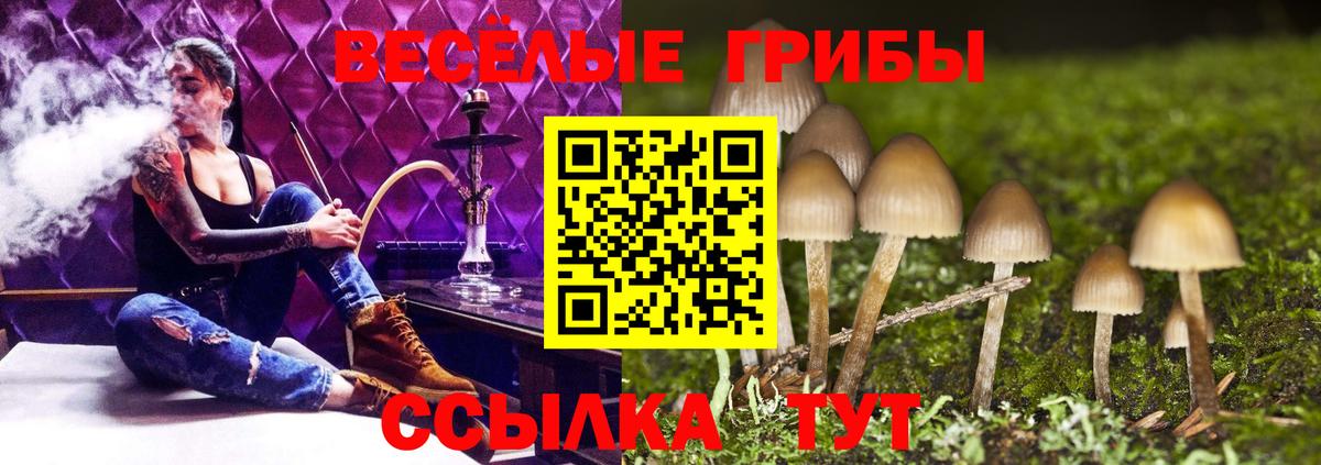 Клин  Псилоцибиновые грибы ЛСД  Псилоцибиновые грибы Psilocybe  Вход с VPN 